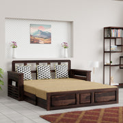 Ergex Sofa Cum Bed